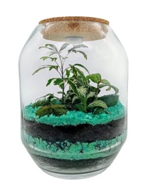 Terrario artesanal con diseño minimalista y elegante, ideal para decorar cualquier espacio. Contiene plantas naturales de bajo mantenimiento y materiales de alta calidad. Perfecto para regalar o dar un toque verde y original a tu hogar u oficina. ¡Cada pieza es única!