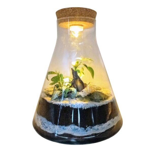 JARDIN ETERNO EL CAIRO CON LUZ (hecho a mano en nuestro taller artesanal). 32 cm Un jardín eterno perfecto para regalar o decorar. Es un terrario de interior, necesita claridad y no le puede dar el sol directo. El ciclo del agua se realiza dentro de la burbuja de cristal con tapa de corcho, creando un microclima con la humedad perfecta que las plantas necesitan. Incluye: variedad de plantas tropicales minis, musgo bola y mineral rosa del desierto.