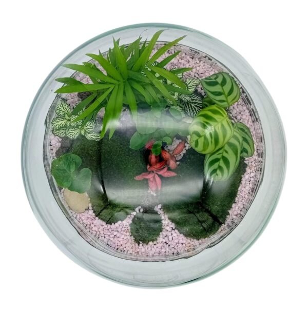 JARDIN ETERNO BOTANICO CON LUZ (hecho a mano en nuestro taller artesanal). 32 cm Un jardín eterno perfecto para regalar o decorar. Es un terrario de interior, necesita claridad y no le puede dar el sol directo. El ciclo del agua se realiza dentro de la burbuja de cristal, creando un microclima con la humedad perfecta que las plantas necesitan. Incluye: variedad de plantas tropicales minis, musgo bola y mineral drusa amatista.